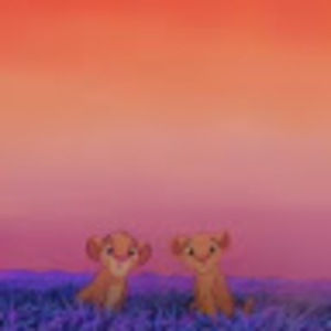 Meet your Posher, Daisy